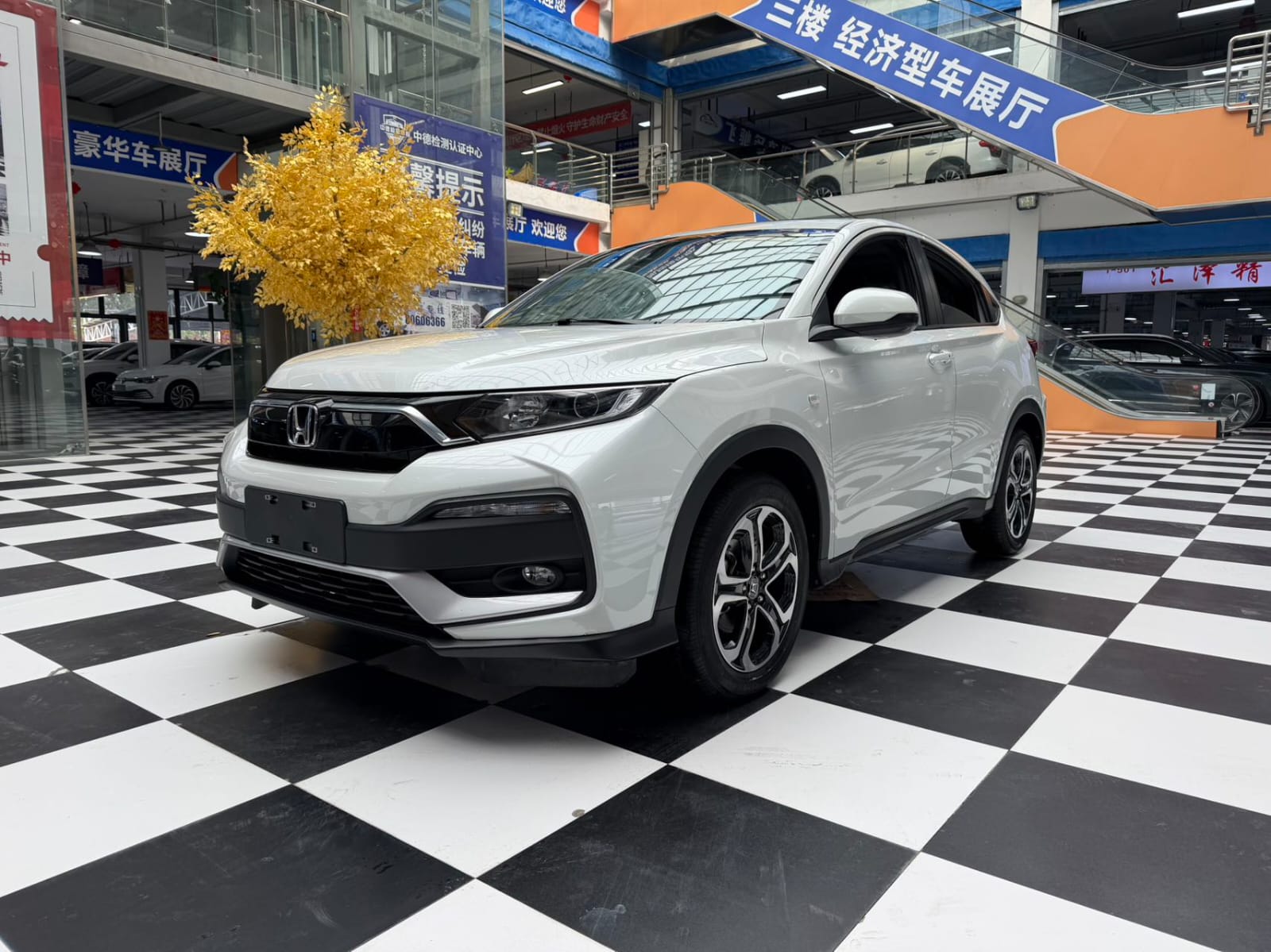 Honda XR-V