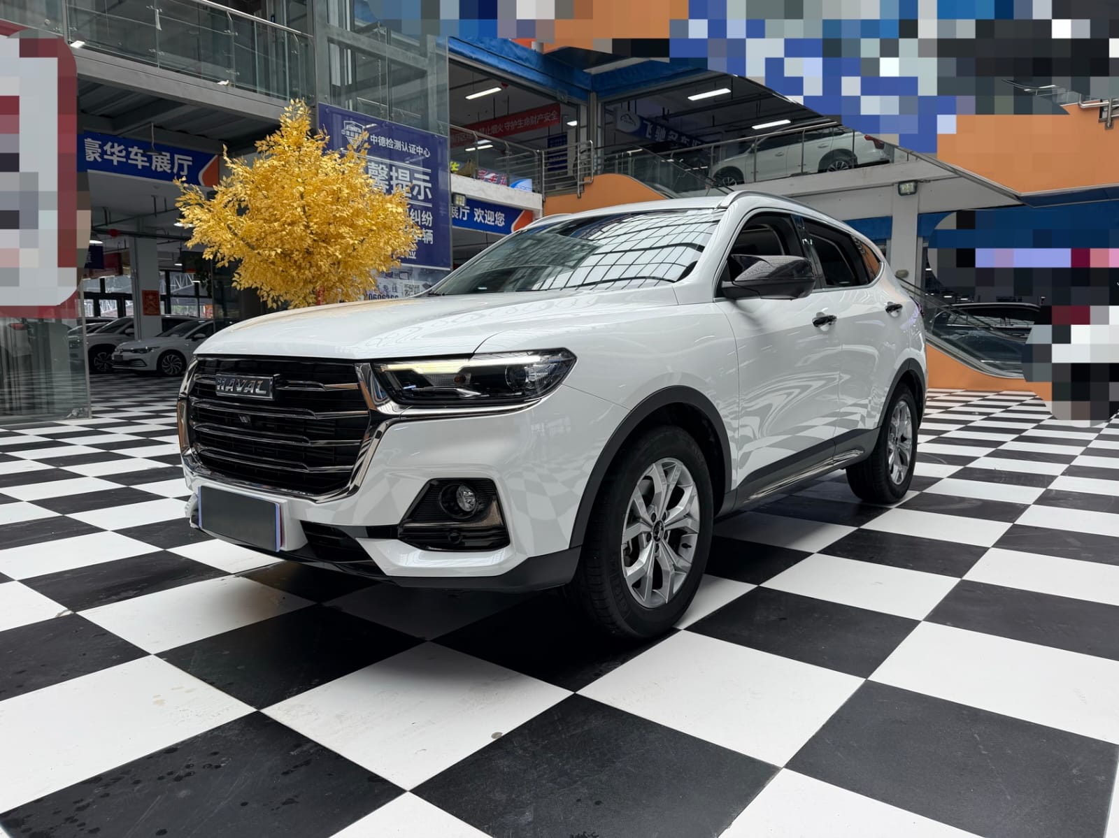 Haval H6 National Tide Championship Edition