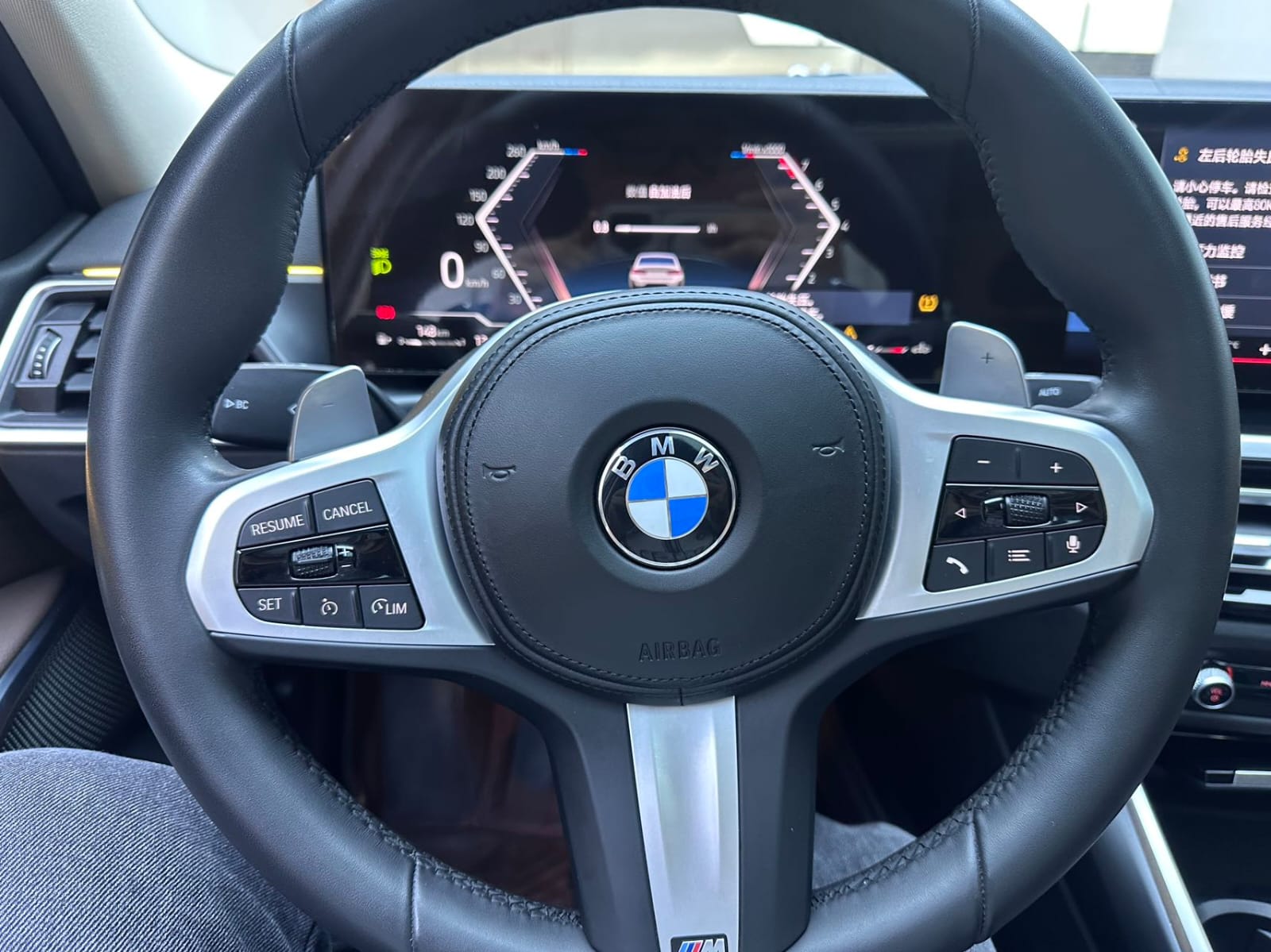 BMW 3 Series 320Li M Sport