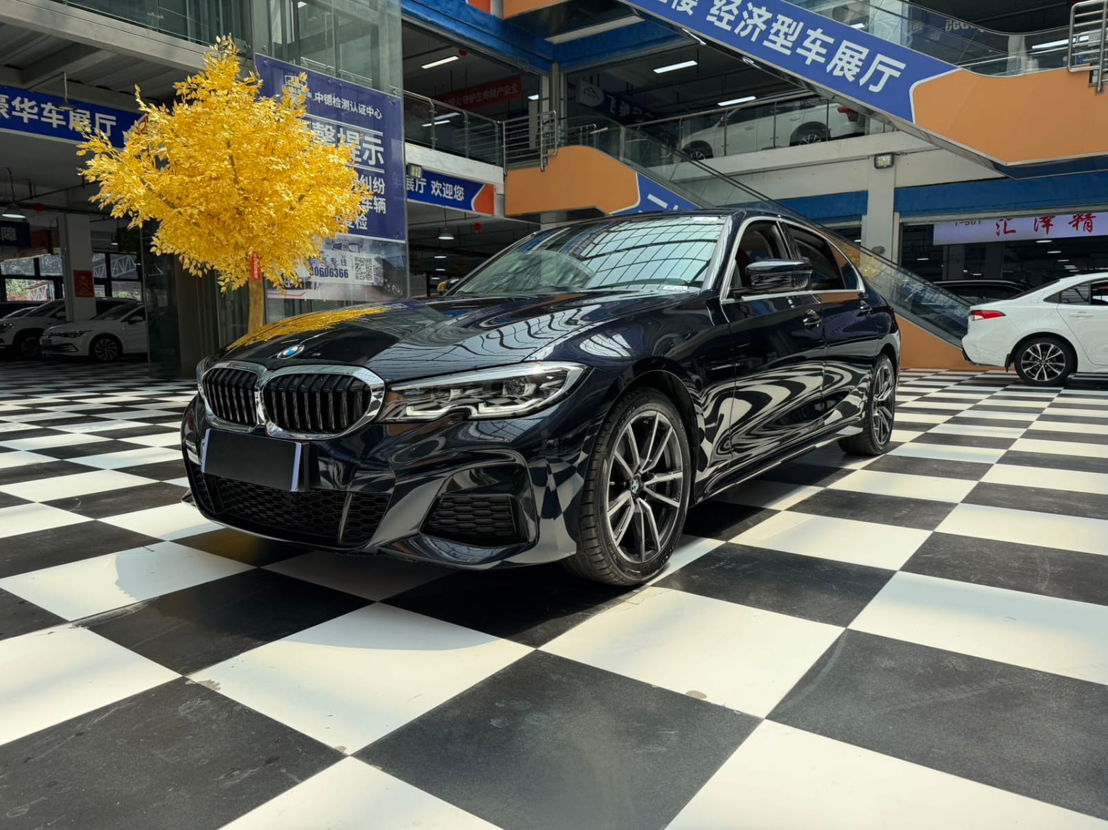 BMW 3 Series 320Li