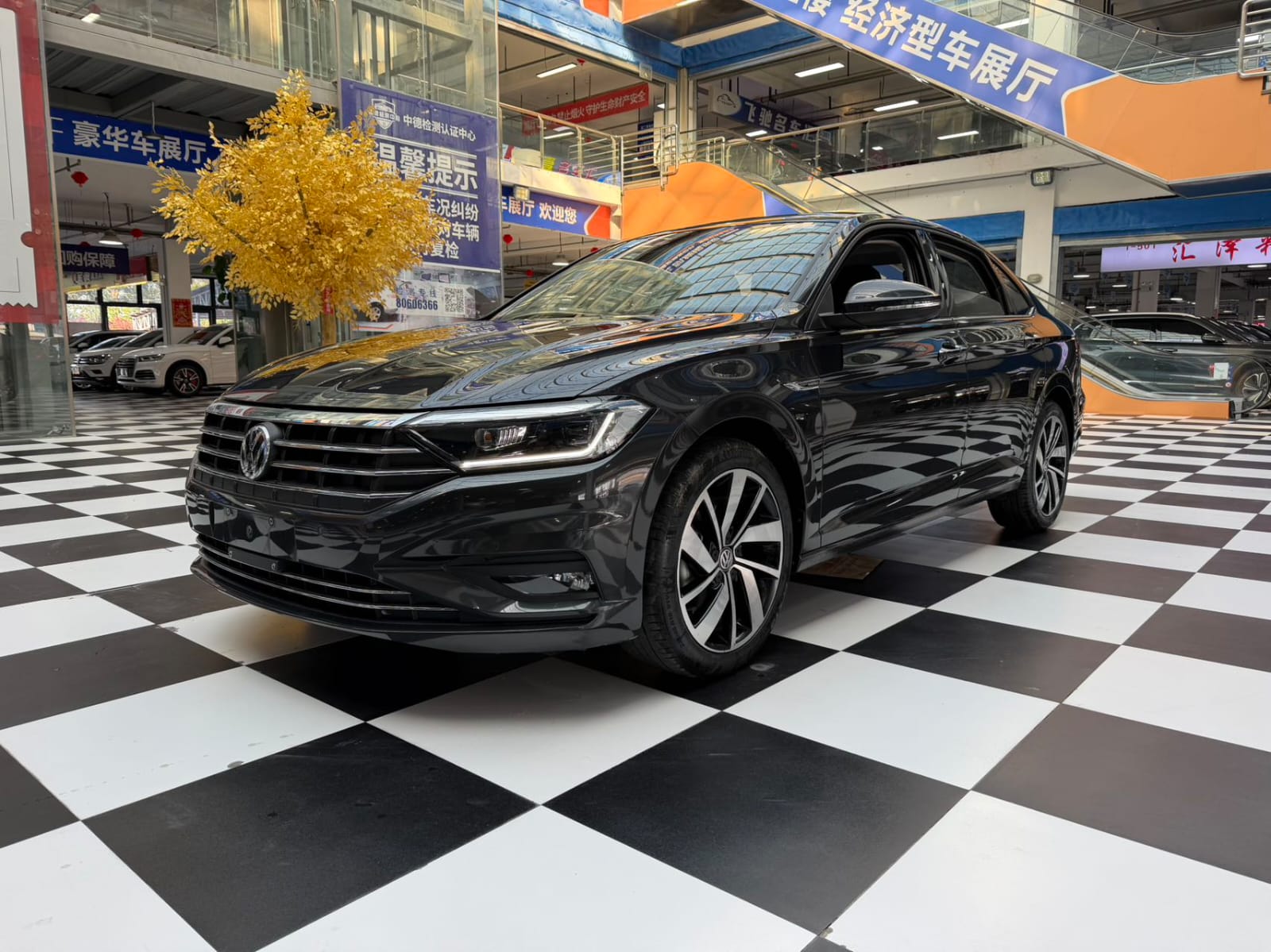 Volkswagen Sagitar Excellence