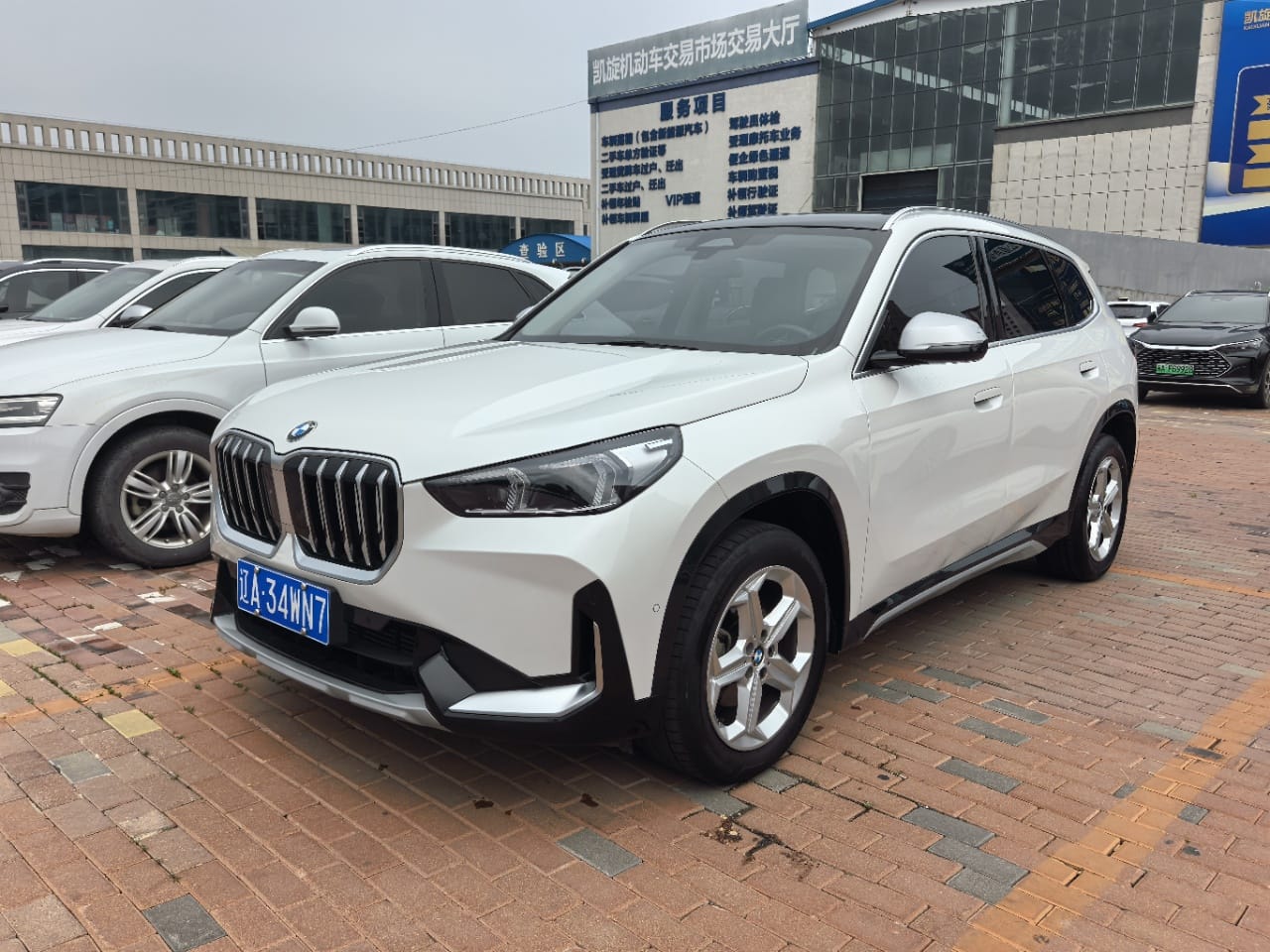 BMW X1 X Design Kit