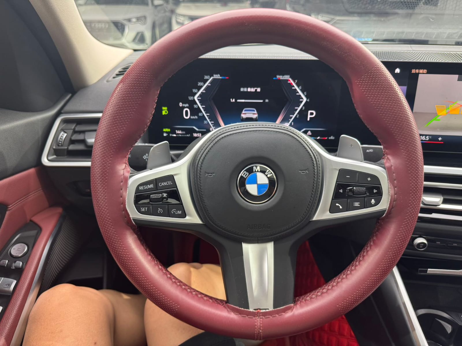 BMW 3 Series 320Li M Sport