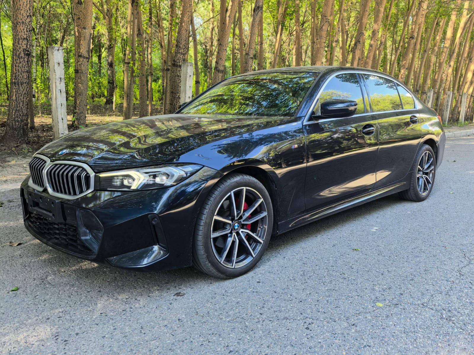 BMW 3 Series 320Li M Sport